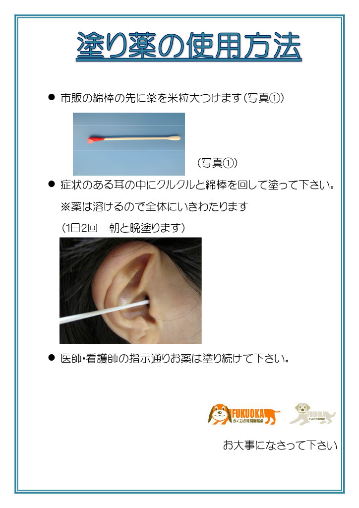 耳軟膏塗り薬の説明